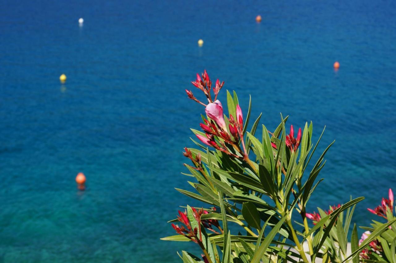 Studio Apartment Michelle - Intermezzo With Sea View Rabac Exterior foto