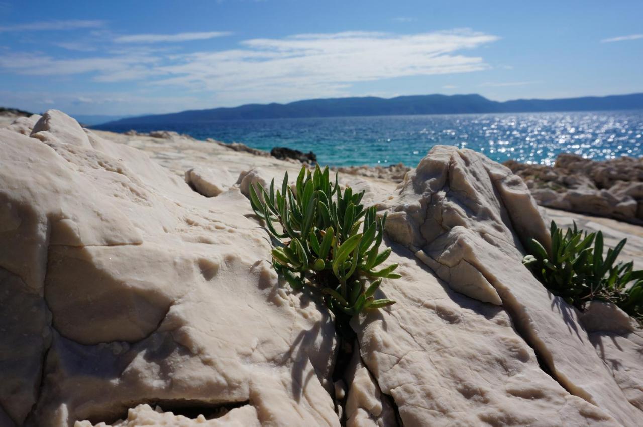 Studio Apartment Michelle - Intermezzo With Sea View Rabac Exterior foto